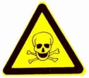 Caution skull