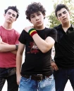 the jonas bros