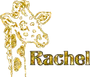 Rachel Giraffe