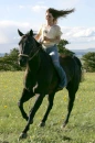 flicka