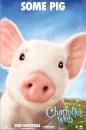 charlotte's web