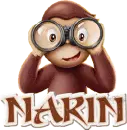 Narin Curious George