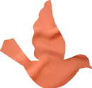 Peach Bird