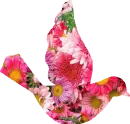 Flowered B ird