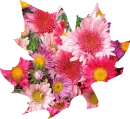 Flowered Leaf
