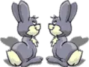 kissing bunnies