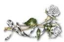 Silver Roses