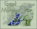 Good Morning