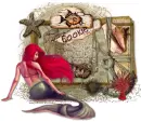 seashell