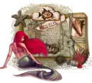 seashell