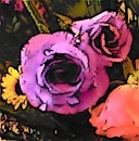 purple roses