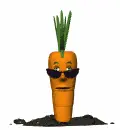 disguised carrot