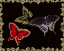 Orient