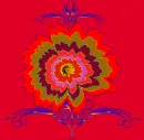 Collor