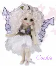 COOKIE