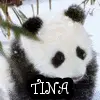 PANDA-TINA