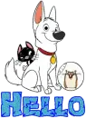 Hello