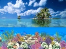 coral island