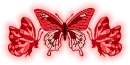 Red Butterflies