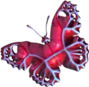 Red Butterfly