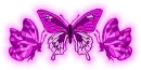Deep Pink Butterflies