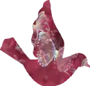 Pink Butterfly Bird