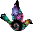 Abstract Bird