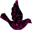 Pinky Bird