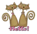 Hello