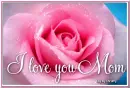 I love you mom