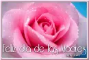 Feliz dia de las Madres