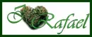 I love Rafael