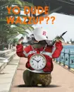 yo dude