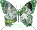 tracy green butterfly