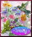 tracy