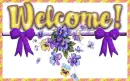 Welcome!