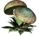 Moschroms