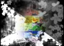  BlackWhite Rainbow