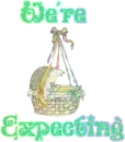 We're Expecting Baby Bassinet
