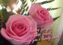Flowers for you my friend!