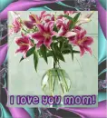 i love u mom
