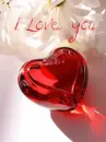 I love uâ™¥
