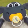 Timmy