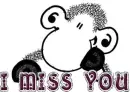 Missing 