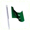 pakistan flag
