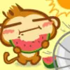 Monkey eating a Watermelon