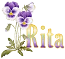 Rita