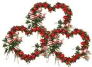 Love&Roses