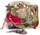 seashell