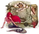 seashell